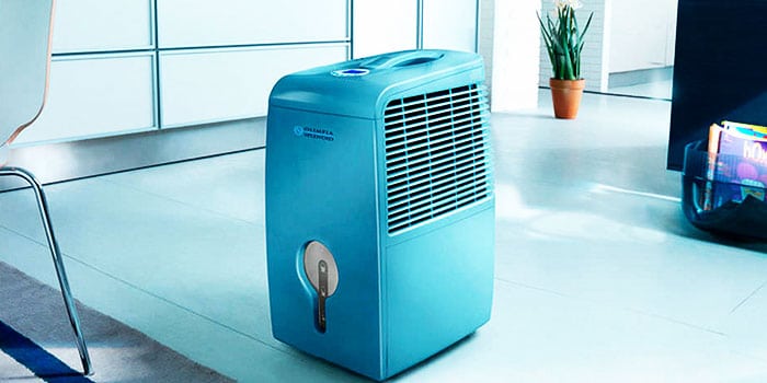 How to Know if You Need A Home Dehumidifier: Check Out These 5 Factors!