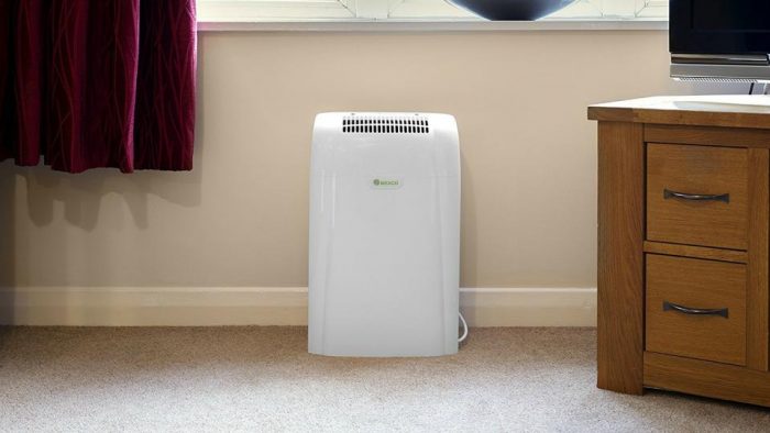 best_dehumidifier 700x394