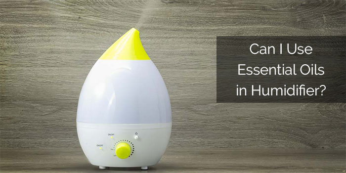 Can i put essential on sale oils in my humidifier