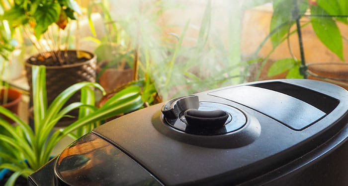 humidify your home