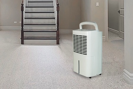 dehumidifier for basement