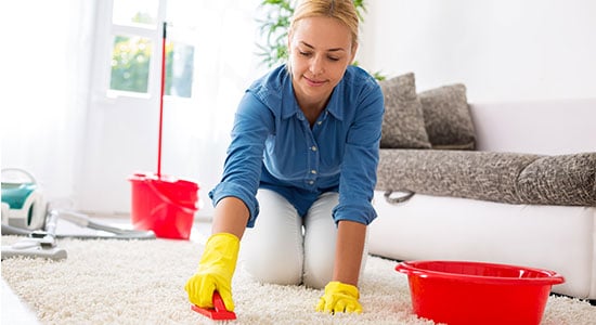 how to clean carpet without a vacuum: Wet carpet cleaning method