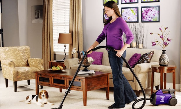 12 Salutary Tips for Vacuuming Pet Hair