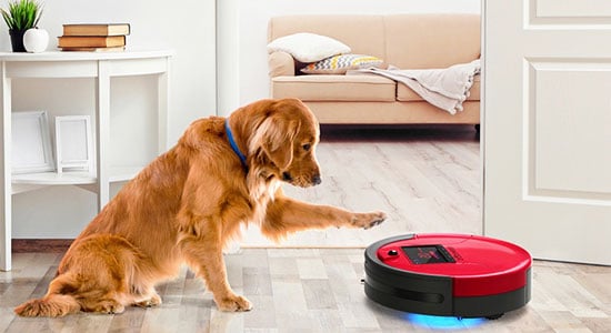 Make the Vacuum More Familiar: