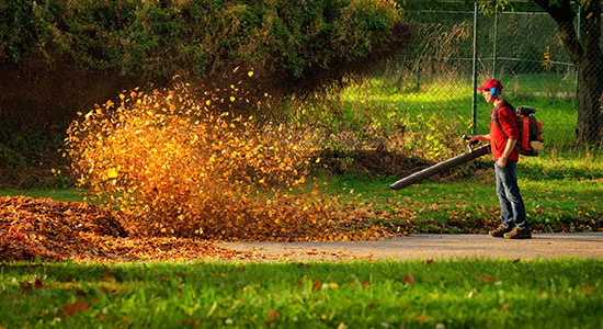 How to use your vacuum cleaner as a blower: What are Blowers?