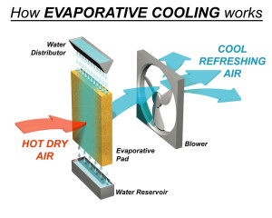 air cooler vs air conditioner: 