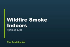 Wildfire Smoke Indoors: How I Protected My Air Wildfire Smoke Indoors: How I Protected My Air