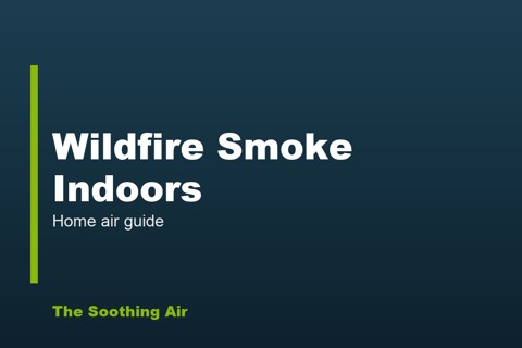 Wildfire Smoke Indoors: How I Protected My Air