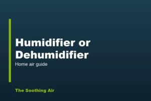Humidifier or Dehumidifier? How to Tell Humidifier or Dehumidifier? How to Tell