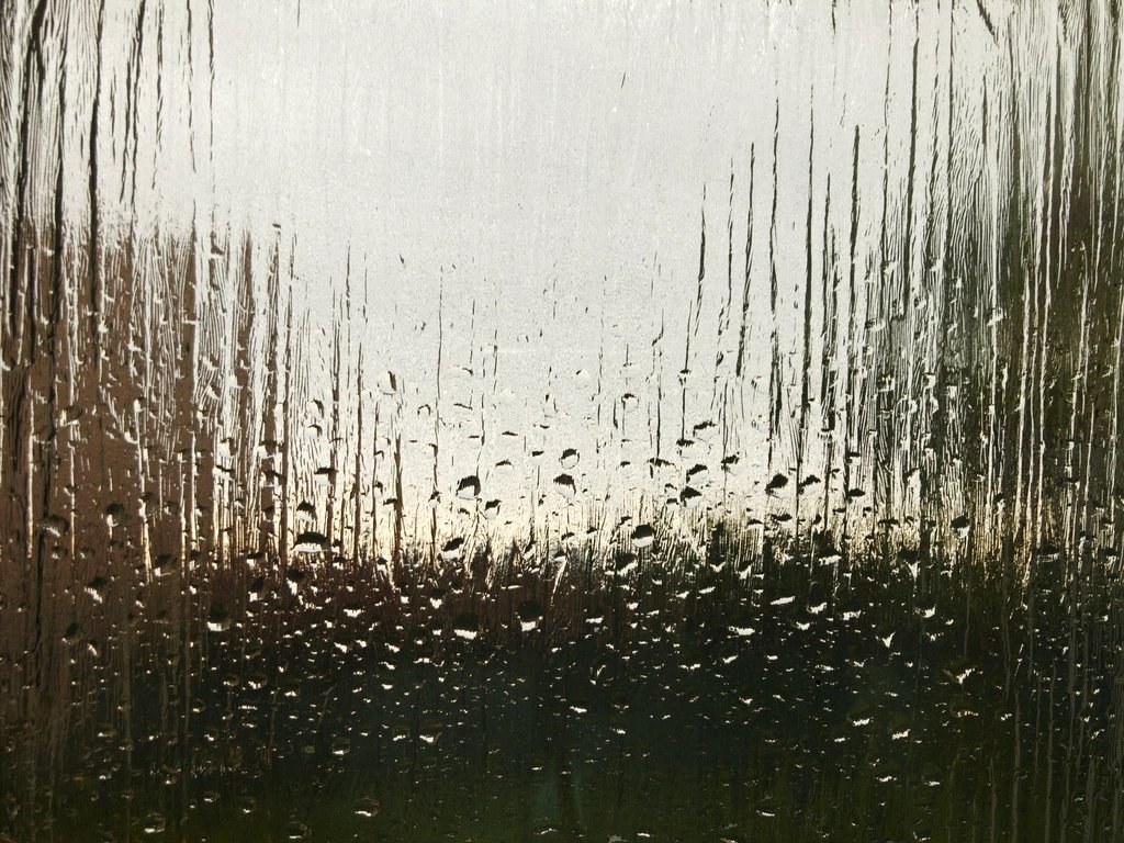 Water droplets condensing on a window pane