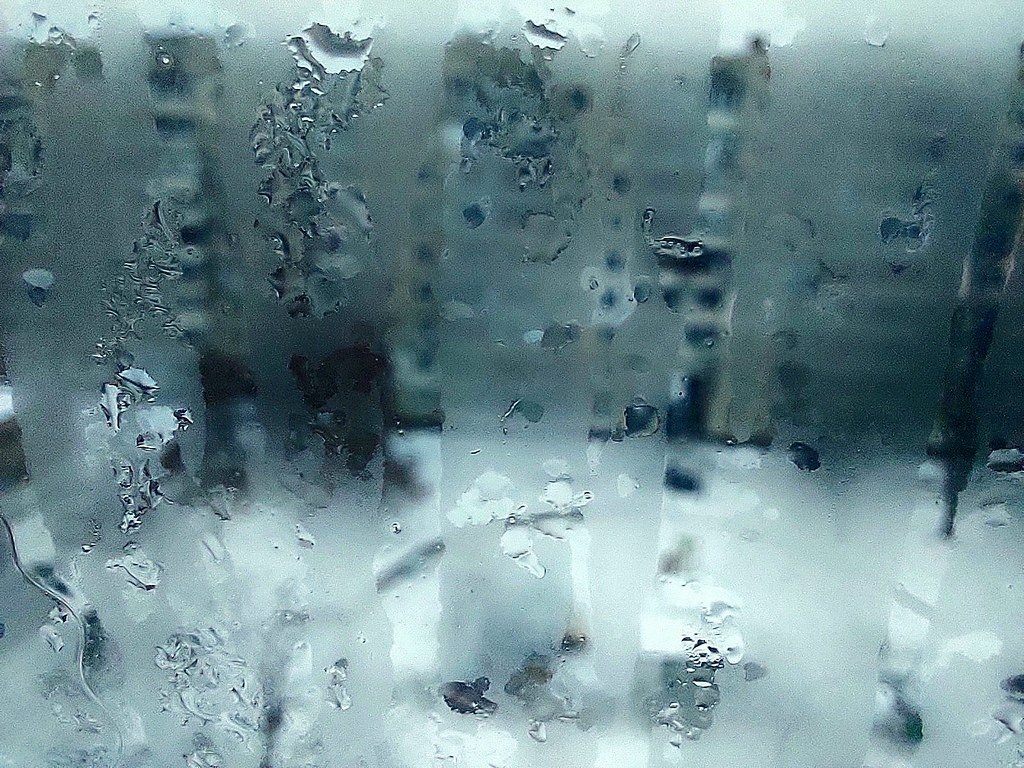 Condensation on a cold winter window