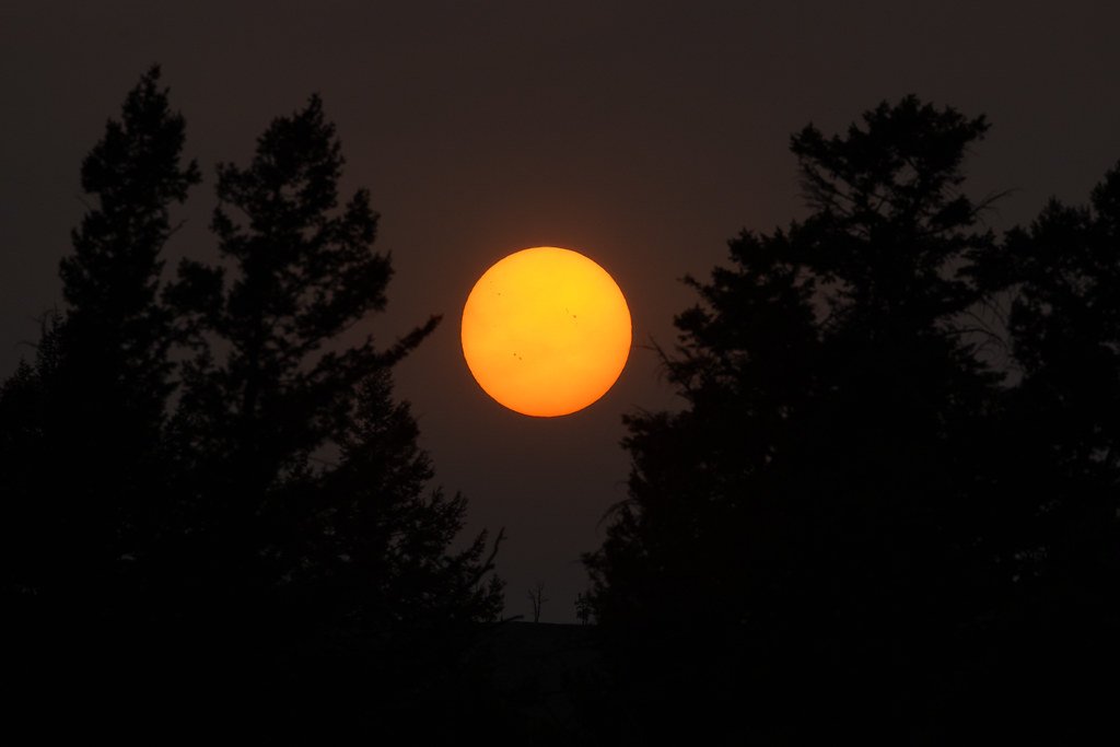 Orange sun through smoky air behind trees