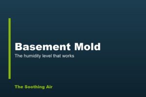 Basement Mold